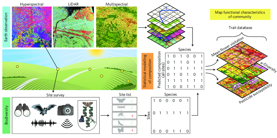 Biodiversity Estimation From Satellite Images Photogrammetry And Remote Sensing Eth Zurich 2697